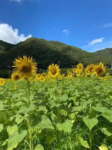 天神社(岡山県)