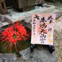 牛嶋天満宮(佐賀県)