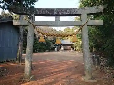 桑原神社の鳥居