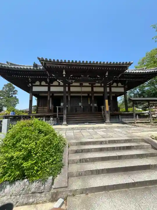般若寺 ❁コスモス寺❁(奈良県)