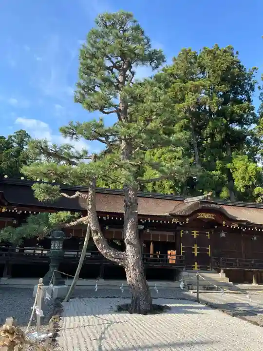 多賀大社(滋賀県)