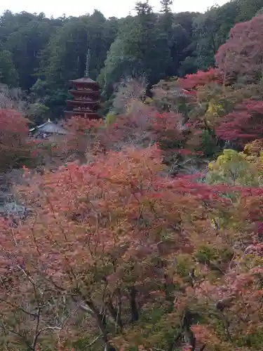 長谷寺の景色