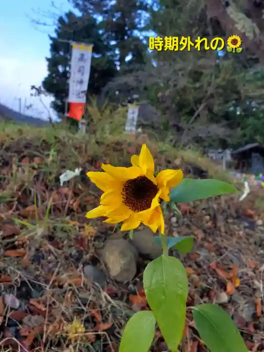 高司神社〜むすびの神の鎮まる社〜(福島県)