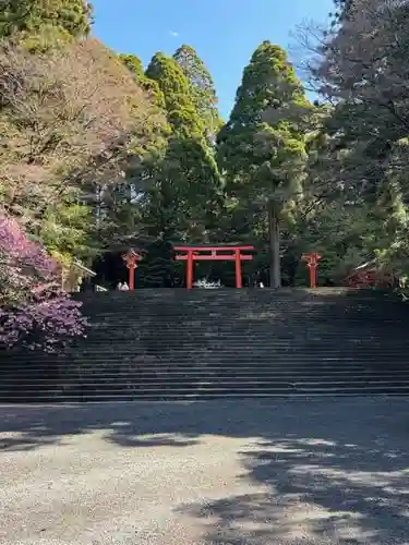 霧島神宮(鹿児島県)