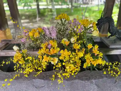 彌彦神社　(伊夜日子神社)の手水舎