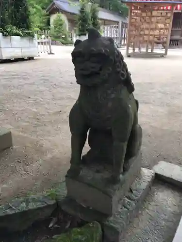 大崎八幡宮の狛犬