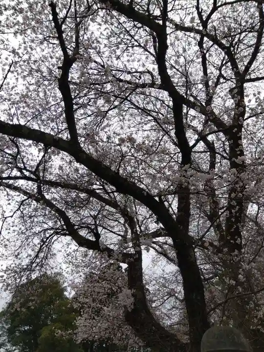 気比神社(福井県)