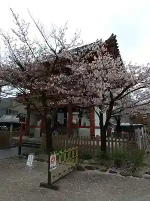 瀧泉寺(目黒不動尊)の山門・神門