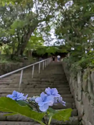 法然寺(香川県)