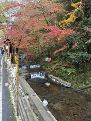 貴船神社結社(京都府)