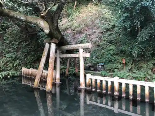 鹿島神宮の鳥居