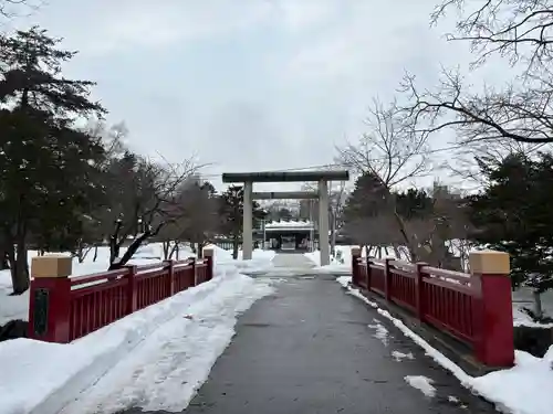 札幌護國神社の鳥居