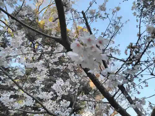 瀬戸神社の自然