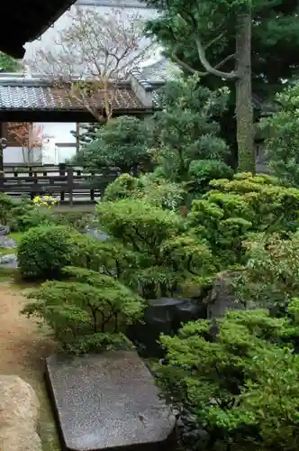 根来寺 智積院の庭園