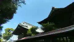 菖蒲神社(埼玉県)