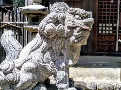 山祇社（石亀土山祇社）の狛犬