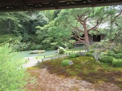 青蓮院門跡(京都府)