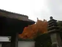 長壽寺(長寿寺)のその他建物