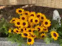 錦山天満宮の手水舎