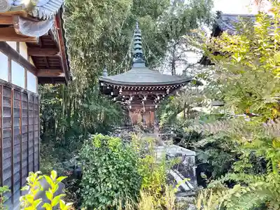 興福寺(滋賀県)