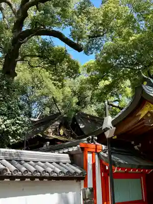 杭全神社(大阪府)