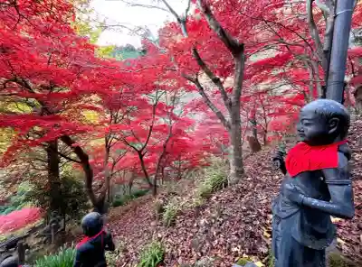 大山寺(神奈川県)