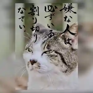 専念寺(大阪府)(2021年05月13日(木) 19時46分24秒投稿)