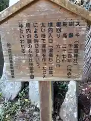 愛宕神社の建物その他