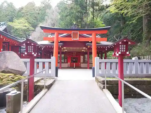 箱根神社の鳥居