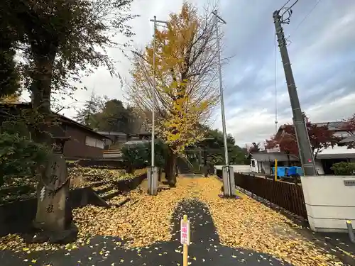 小野神社(東京都)