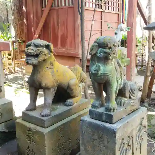 渋谷氷川神社の狛犬