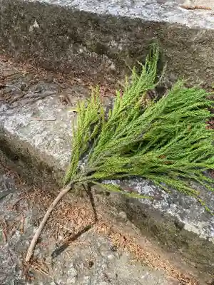 眞弓神社の自然