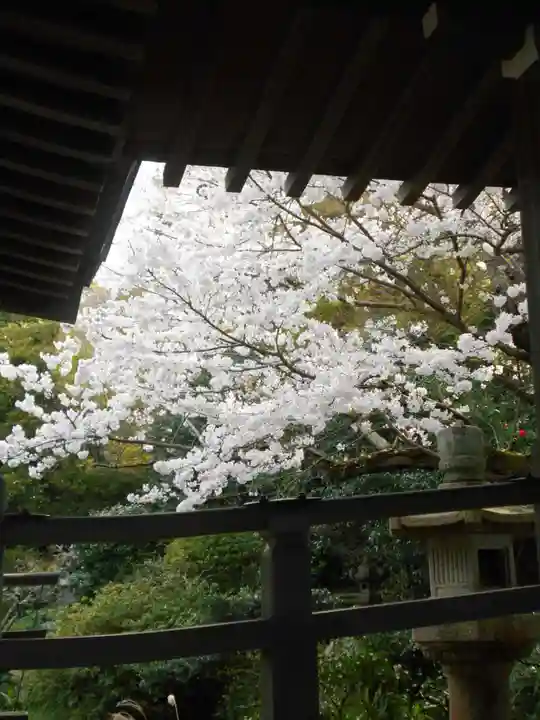 光明寺(神奈川県)