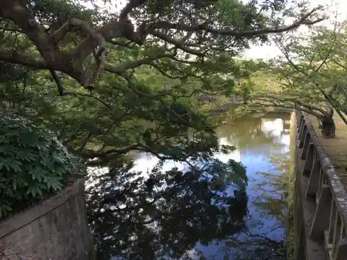 安房神社の景色