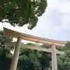 明治神宮の鳥居