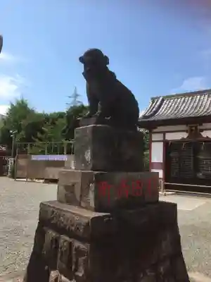 羽田神社の狛犬