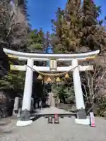 宝登山神社(埼玉県)