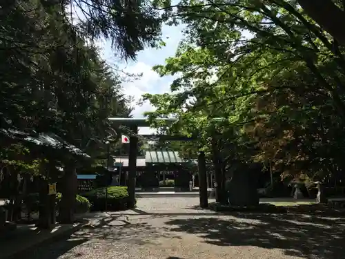 琴似神社(北海道)