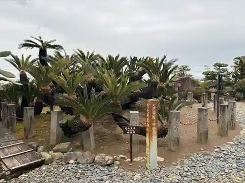 龍華寺(静岡県)