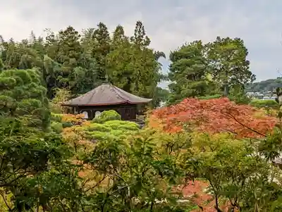 慈照寺（慈照禅寺・銀閣寺）(京都府)