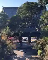知恩院の山門・神門