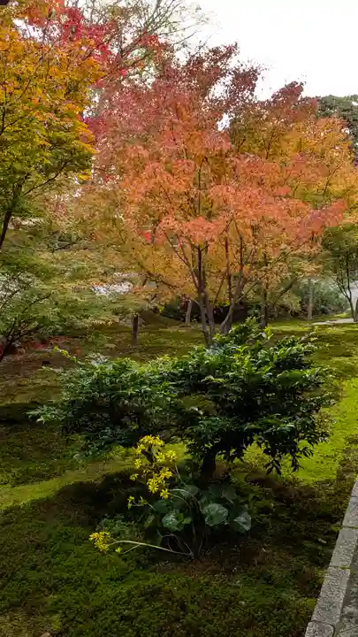興聖寺(京都府)
