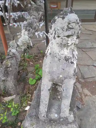 御崎神社の狛犬