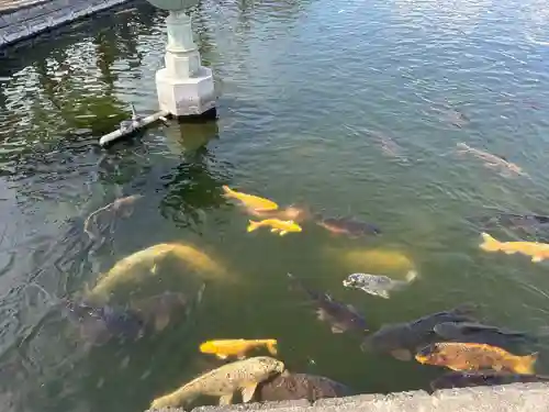 猿賀神社(青森県)