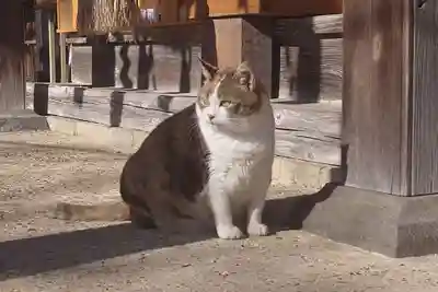 賀茂別雷神社(栃木県)