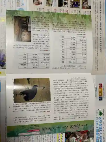 知恩院の{uncategorized: "未分類", other: "その他", undefined: "問題あり", building: "その他建物", grave: "お墓", sacred_gate: "鳥居", guardian: "狛犬", statue: "像", buddha: "仏像", history: "歴史", nature: "自然", garden: "庭園", animal: "動物", pagoda: "塔", temizu: "手水舎", mountain_gate: "山門・神門", sanctuary: "本殿・本堂", subordinate: "末社・摂社", art: "芸術", scenery: "景色", jizo: "地蔵", ema: "絵馬", goshuin: "御朱印", omikuji: "おみくじ", items: "授与品その他", amulet: "お守り", goshuincho: "御朱印帳", eats: "食事", festival: "お祭り", votive_dance: "神楽", shichigosan: "七五三参", wedding: "結婚式", experience: "体験その他", initially: "初詣", around: "周辺", anti_infection: "感染症対策"}