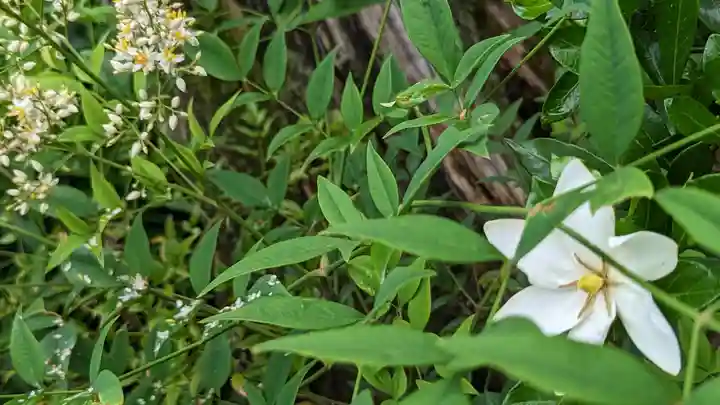 海印寺寂照院(京都府)