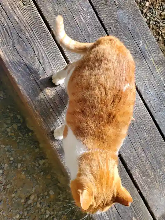 唐澤山神社(栃木県)