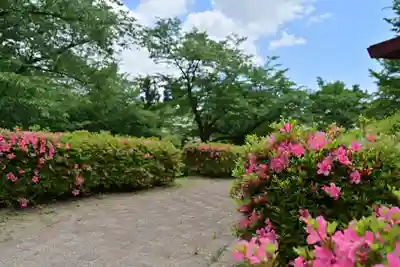 国上寺(新潟県)