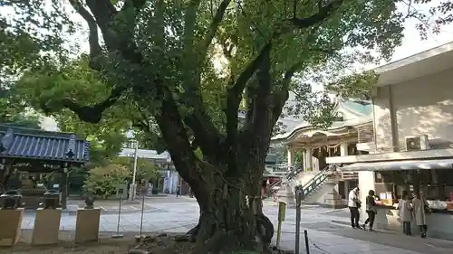 難波神社の自然